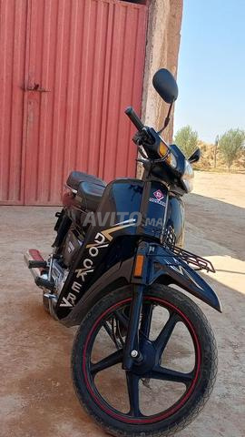 C50 2022 Taroudant Sebt El Kardane - 2