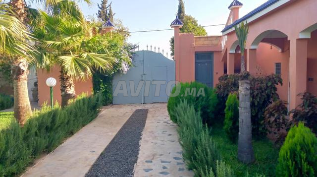 مزرعة للبيع فرصة مميزة للسكن أو الاستثمار الفلاحي - 2