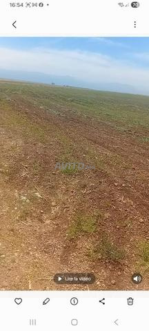 TERRAIN TITRÉ LOCATION DE 400 HA - 2