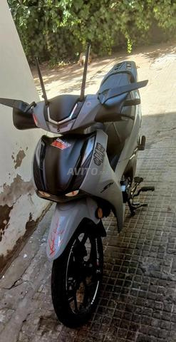 دايتونا ش 50 - 2