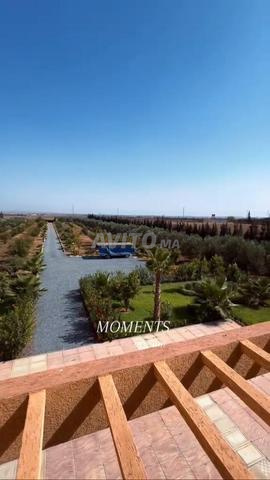 مزرعة فاخرة - 2