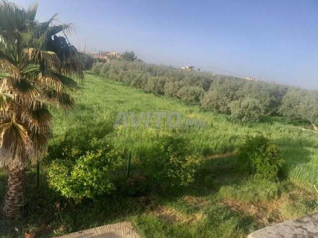 أرض مع فيلا - 2