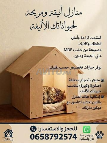 منزل حيوانات أليفة .