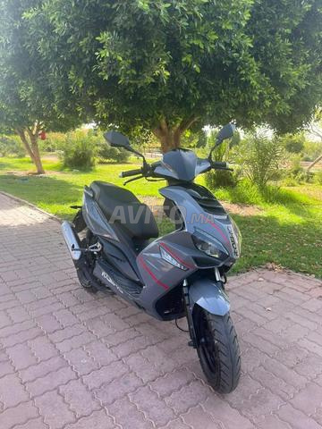 Scooter Coinha - 2