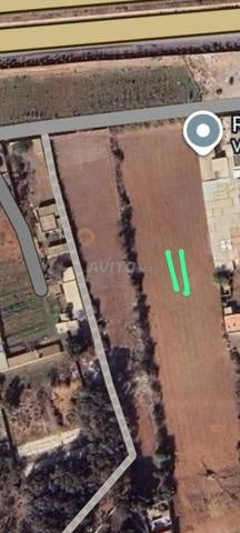 Terrain de 18000 M² zone immeuble