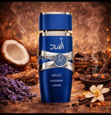 أسد بوربون - 2