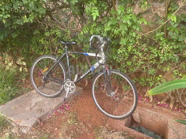 Vélo à vendre - 2