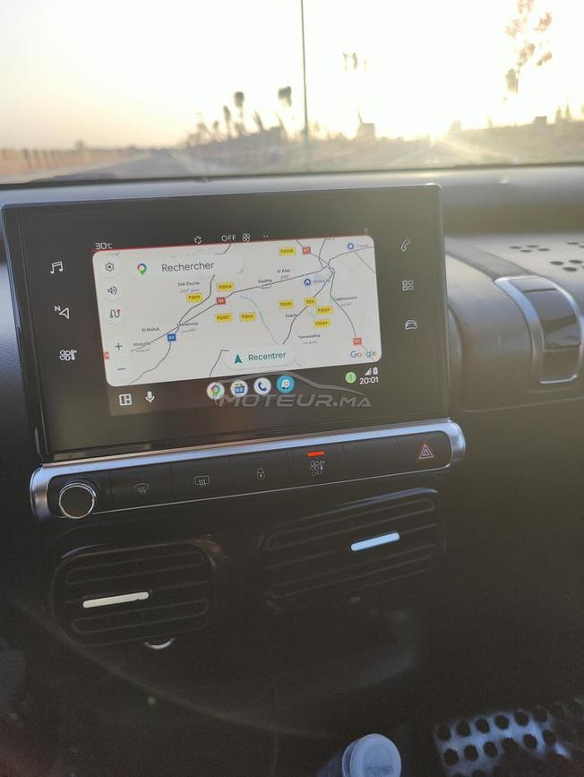 C4 Cactus 