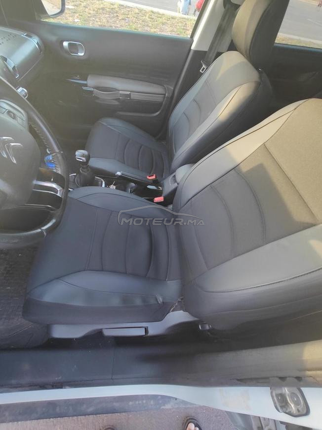 C4 Cactus 