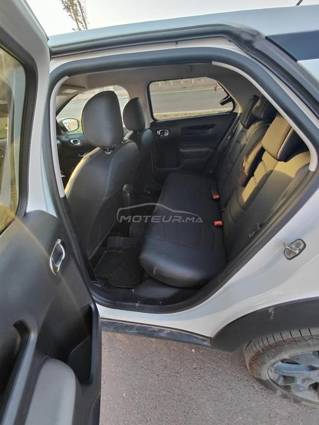 C4 Cactus 
