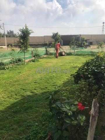 أرض فلاحية للمنزل بالجديدة - 2