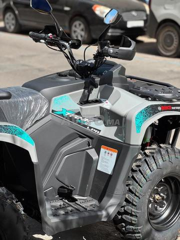 رباعي LPR XTANK 300R حقن بوش