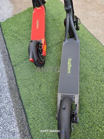 Trottinette Ecoxtrem Linear - 2