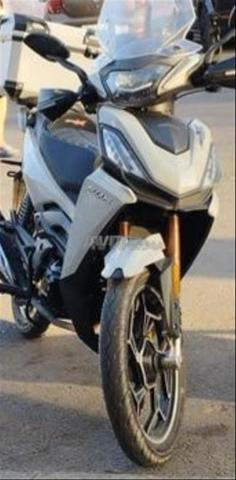 Moto Bécane Spring WhatsApp - 2