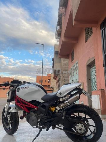 دوكاتي مونستر 800 - 2