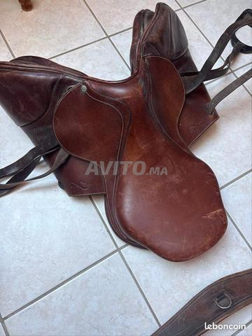 Selle de cheval - 2