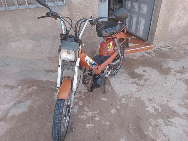 وجدة سماره - 2