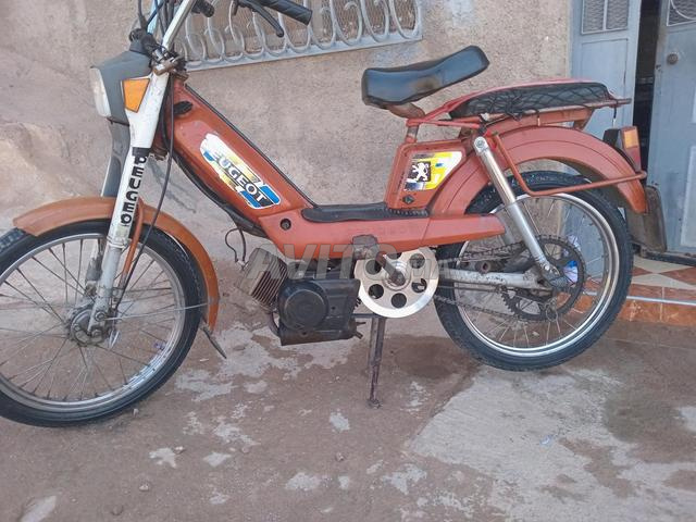وجدة سماره