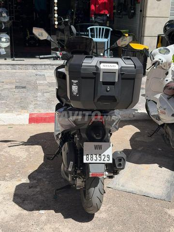موربيديلي 300SC - 2