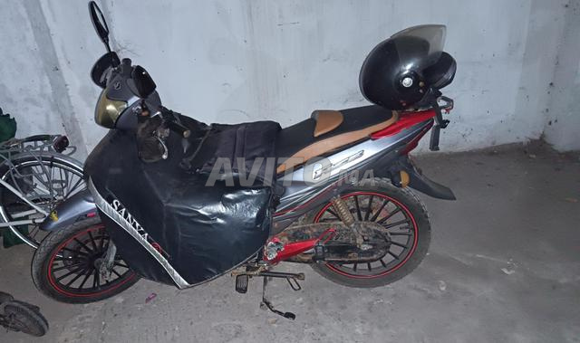 Fice sanya model 2019 - 2