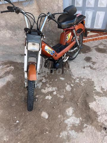 وجدة حي السمارة