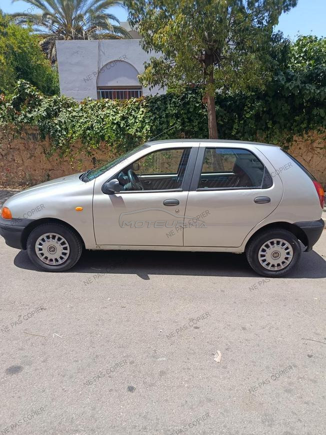 Palio à vendre 