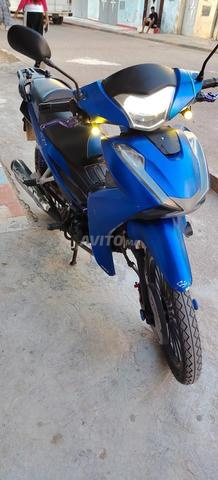 Bikan 2019 - 2