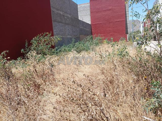 أرض مسجلة للبيع - 2