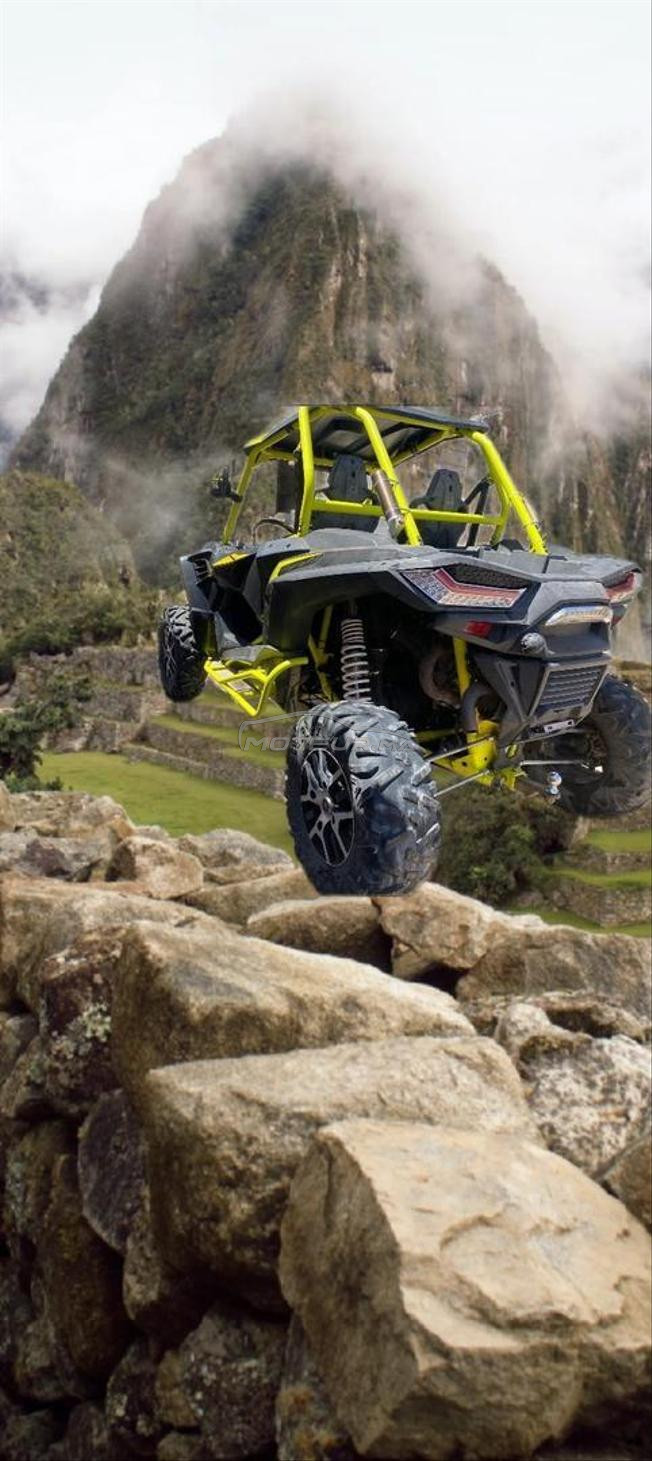 buggy en bonne état 