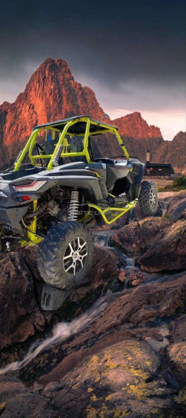 buggy en bonne état 