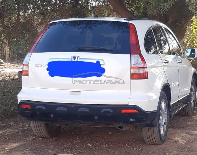 الداخلة النهضة