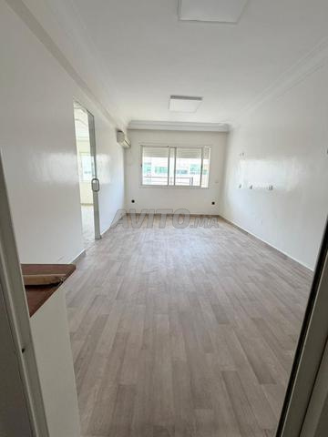 Bureaux 90m2 Belvédère Casa - 2