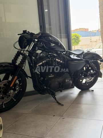 Harley Davidson Iron 883 - 2