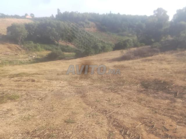 أرض للبيع في جماعة خميس الساحل - 2
