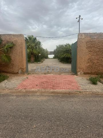 مزرعة كم 14 طريق أگافاي