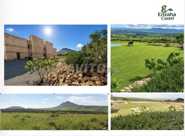 Ferme à vendre, potentielle maison d’hôtes
