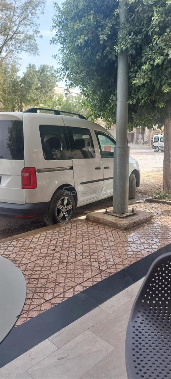 kadi 3amra 2021 