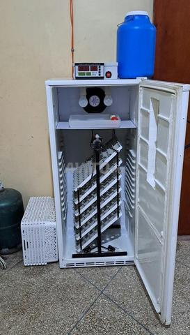 Incubateur d'œufs automatique