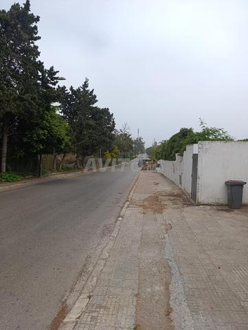 vente terrain 4100m² Souissi