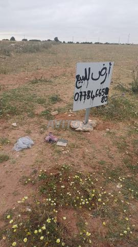 أرض للبيع قرب كراج زازا خميس زمامرة - 2
