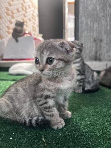 بالقرب من موقف البحوت - 2