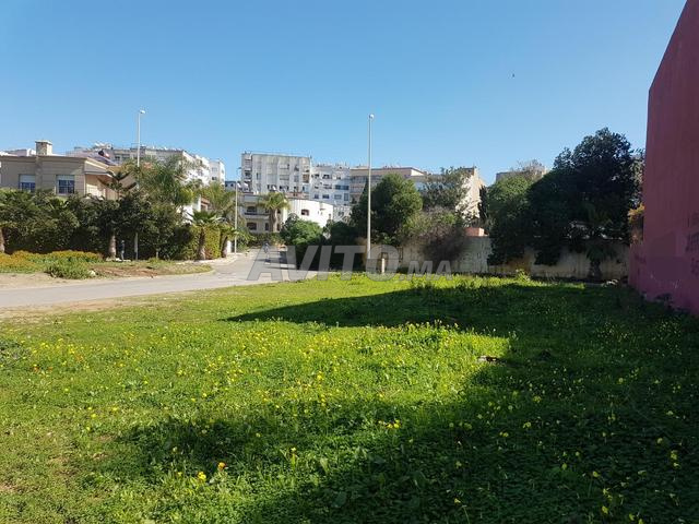 Terrain villa 365 m² à Nassim Sidi Maarouf - 2