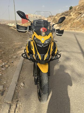 تراك بينيلي 502