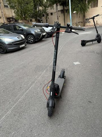 سكوتر شاومي برو - 2