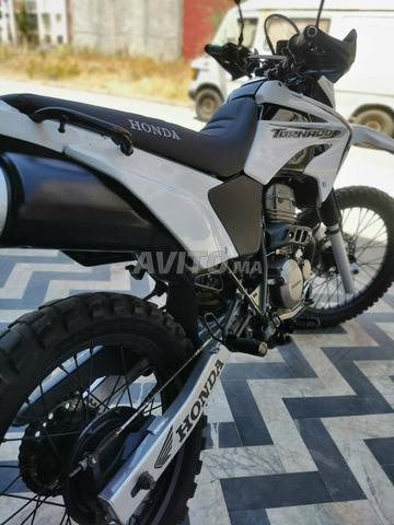 Honda Tornado 250 XR - 2