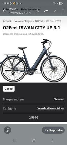 Vélo électrique haut de gamme