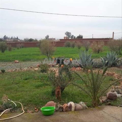 117234-بيع أرض بطريق العركي بمراكش - 2