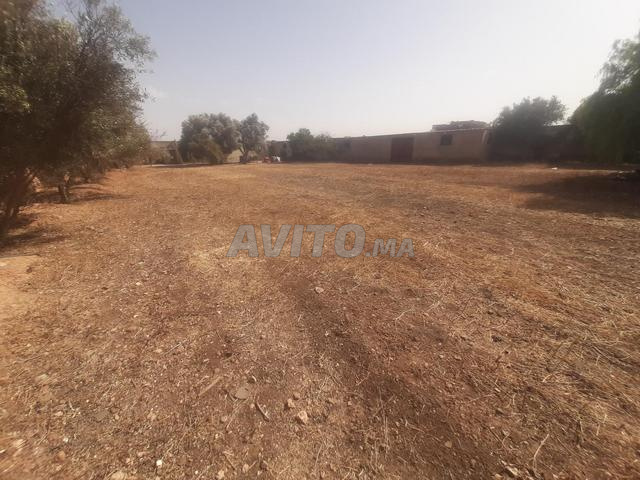 Terrain avec dépôts de 3000 m² à Nouaceur - 2