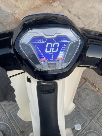 هايلاند 2026 - 2