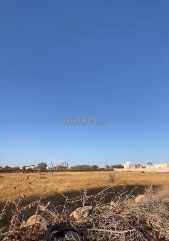 Terrain titré à vendre 6000m Bouzammour à 15km d'Essaouira